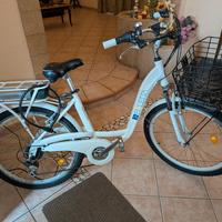 bici elettrica 