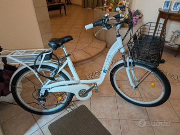 bici elettrica 