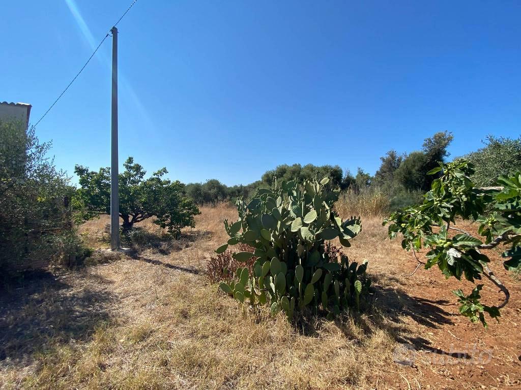 Terreno di 1680 m² a Terrasini - Vista 2