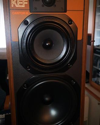 KEF CANTOR III