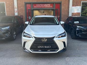 Lexus NX Hybrid Premium 4WD MY22