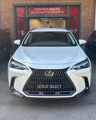 Lexus NX Hybrid Premium 4WD MY22