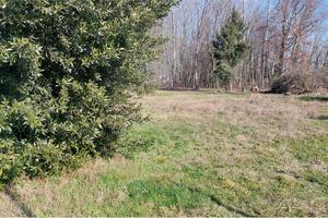 Maerne, appezzamento di terreno agricolo