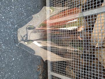 parabrezza seminuovo per honda forza 300 2018-2022