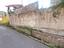 Immagine 5