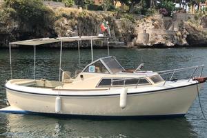 Gozzo usato diesel in vetroresina natante