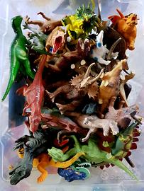 Dinosauri medi e contenitore