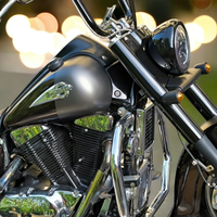 Suzuki intruder VL 1500 Custom