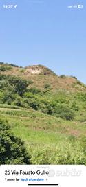 Terreno collinare vista mare