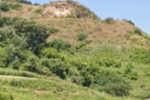 Terreno collinare vista mare