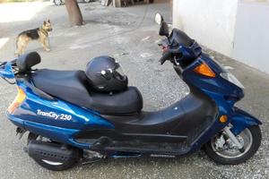 Motom Trancity 250 - 2008