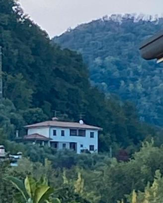 Casa immersa nel verde degli ulivi