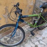 Biciclettata ROTTA