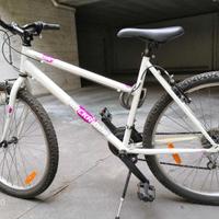 mtb bicicletta 