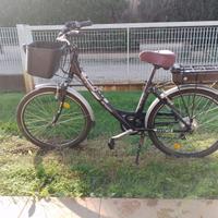 Bici elettrica