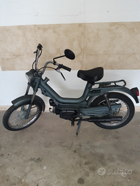 Rizzato avellino sales