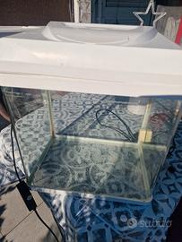 Acquario Billy 30