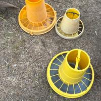 Mangiatoie per galline