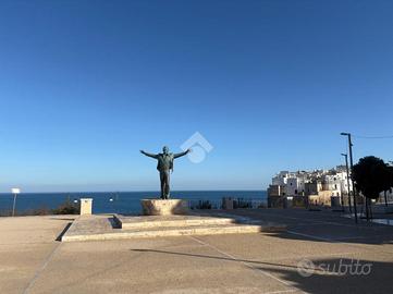 3 LOCALI A POLIGNANO A MARE