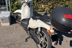 scarabeo 50