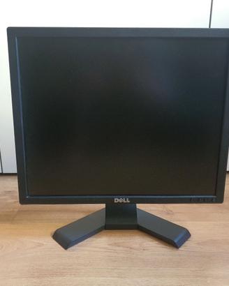 Monitor 19" DELL
