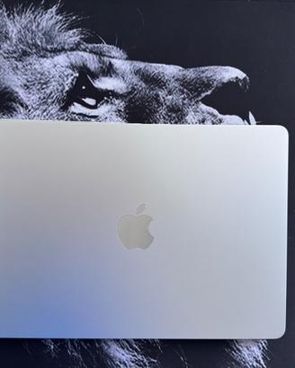 Apple MacBook Air M3 CARICATO 2 VOLTE CON GARANZIA