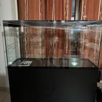 Acquario Ciano emotion 120 anno 2025