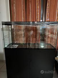 Acquario Ciano emotion 120 anno 2025