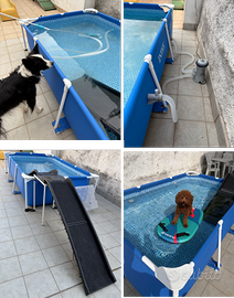 Piscina Intex per cani