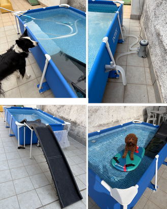 Piscina Intex per cani
