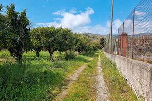Terreno agricolo con capannone