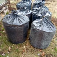 Truccioli legno secco.