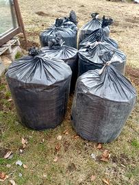 Truccioli legno secco.