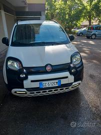  panda hibrid 1000
