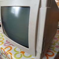 Schermo computer vintage