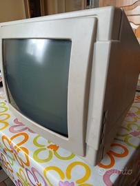 Schermo computer vintage