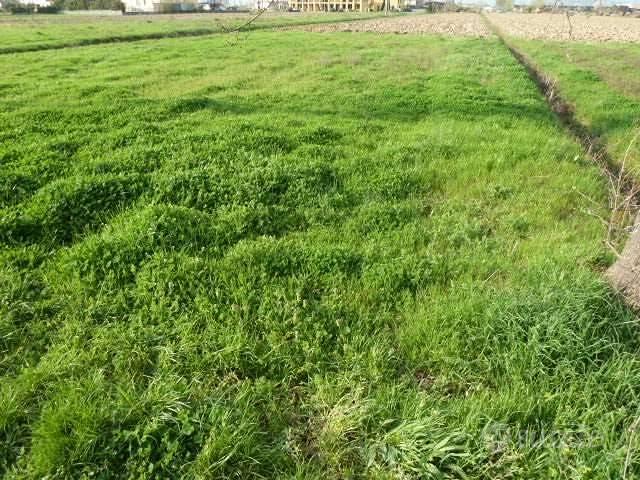 Terreno di 750 m² a Porcari - Vista 2