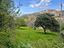 Immagine 27