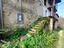Immagine 11