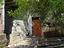Immagine 28