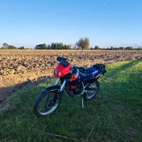 Aprilia Pegaso 50