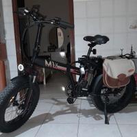 bicicletta elettrica 