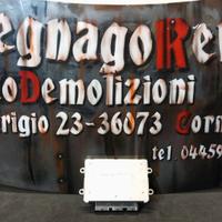 CENTRALINA MOTORE VALEO PEUGEOT/CITROEN SW96654244