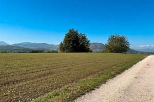 Terreno tre ettari