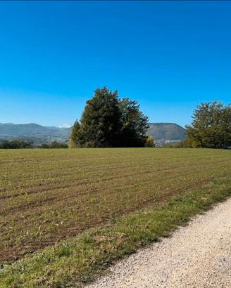 Terreno tre ettari