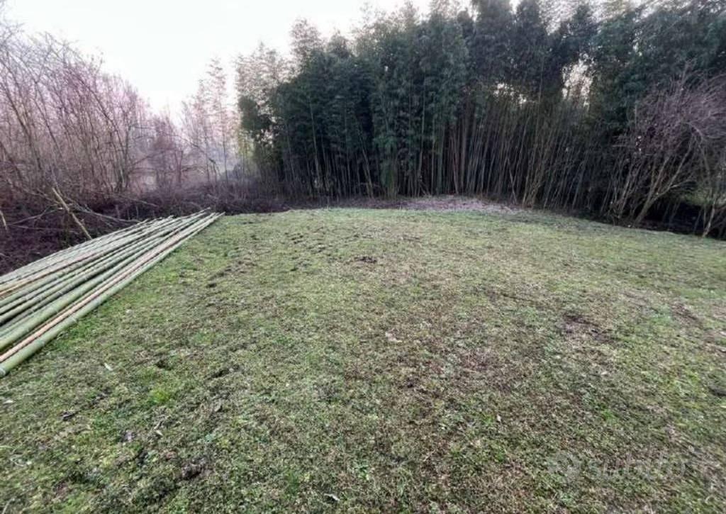 Appartamento – Bagnolo San Vito, Mantova - Vista 3
