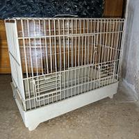 Gabbia bianca per uccelli