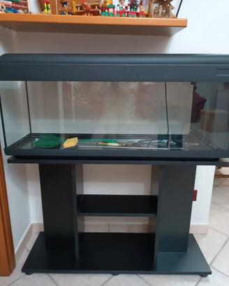 Acquario