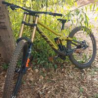 Scott gambler tuned 2023