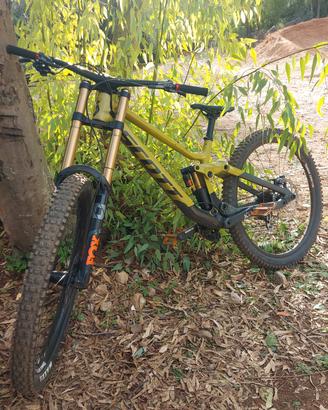 Scott gambler tuned 2023